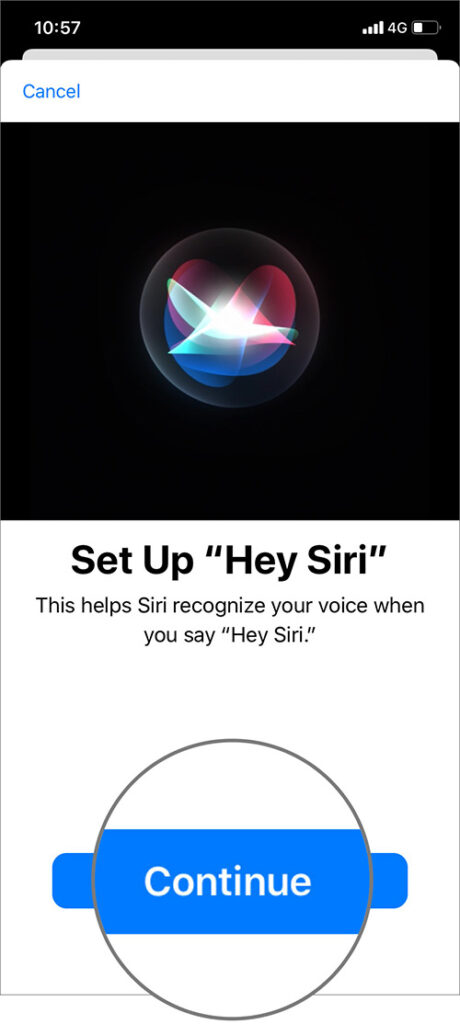 انتخاب نمودن دکمه Continue برای کانفیگ Siri