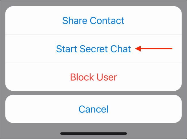 گزینه Start Secret Chat برای ایجاد چت مخفی در تلگرام 