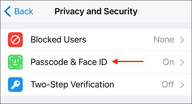 گزینه Passcode & Face ID برنامه تلگرام آیفون